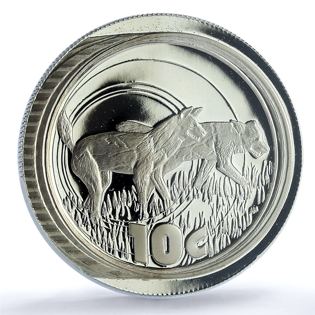 South Africa 10 cents Wild Dog KM-321 Wildlife Fauna PR 69 PCGS silver coin 2005