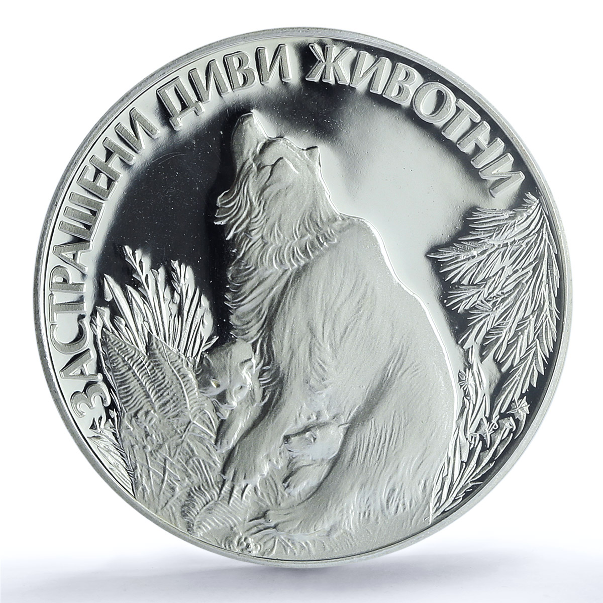 Bulgaria 25 leva Endangered Wildlife Bears Forest PR66 PCGS silver coin 1989 Bulgaria 25 leva Endangered Wildlife Bears Forest PR66 PCGS silver coin 1989