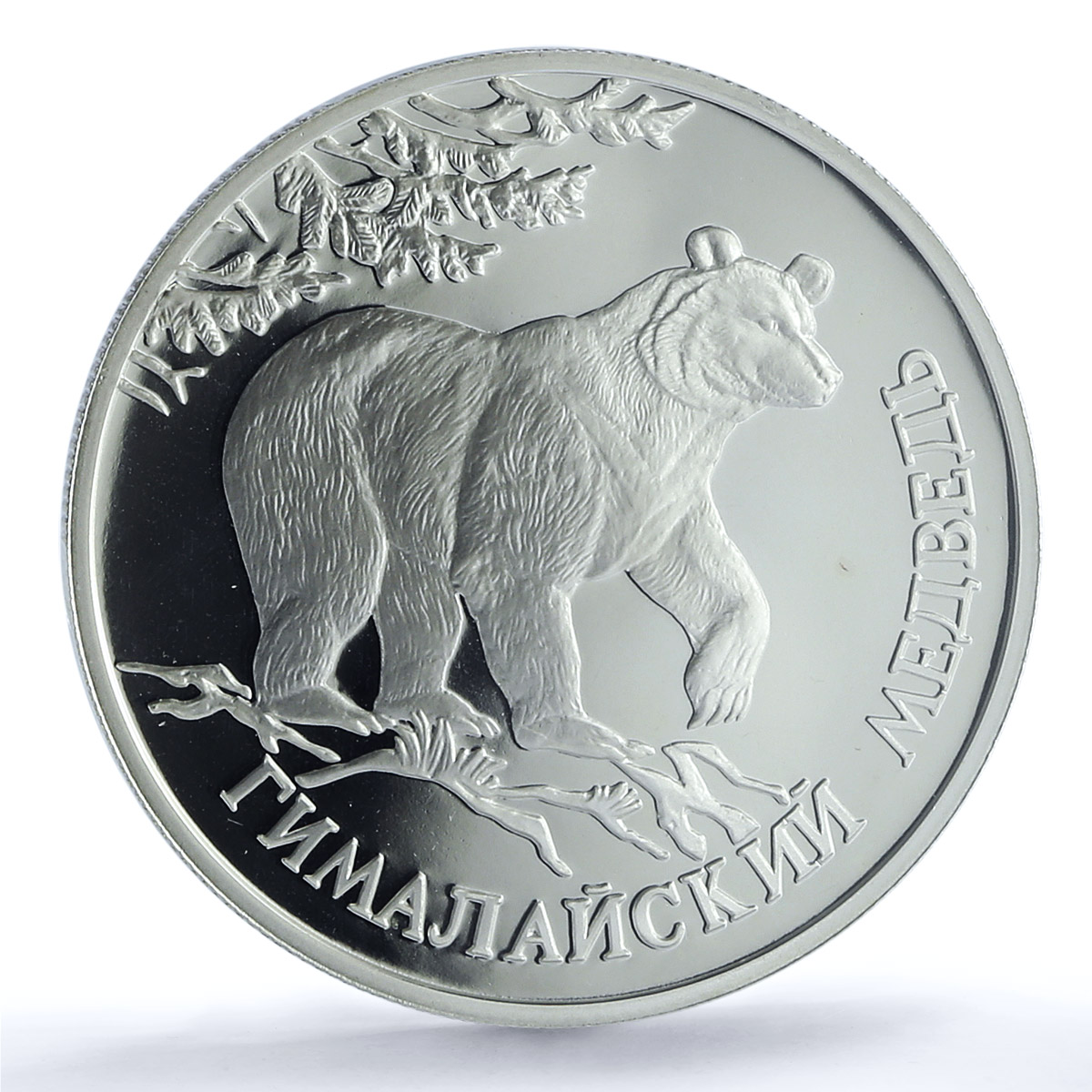 Russia 1 ruble Red Book Himalayan Black Bear PR69 PCGS silver coin 1994 Russia 1 ruble Red Book Himalayan Black Bear PR69 PCGS silver coin 1994