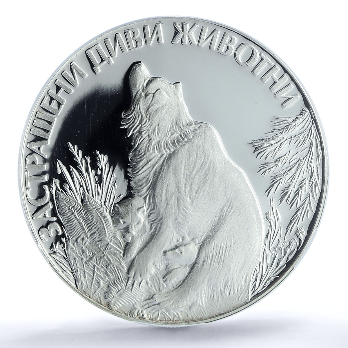 Bulgaria 25 leva Conservation Wildlife Bear Cubs PR69 PCGS silver coin 1989 Bulgaria 25 leva Conservation Wildlife Bear Cubs PR69 PCGS silver coin 1989