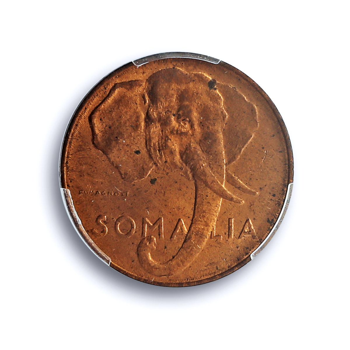 Italy Somalia 1 centesimo Regular Coinage Elephant MS64 PCGS brass coin 1950