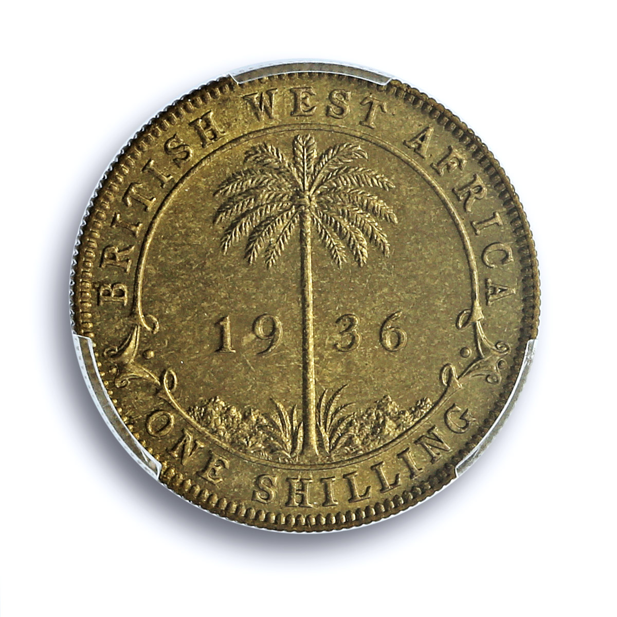 Great Britain West Africa 1 shilling George V KM-12a MS65 PCGS brass coin 1936 Great Britain West Africa 1 shilling George V KM-12a MS65 PCGS brass coin 1936