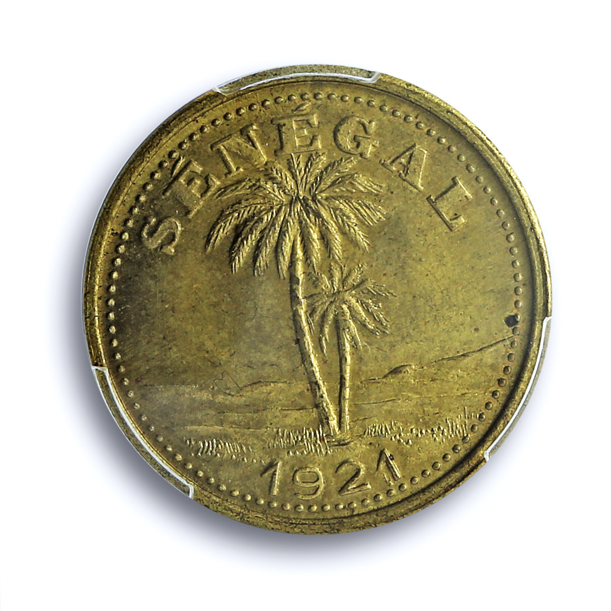 Senegal 50 centimes Ziguinchor Coinage Palm Tree MS64 PCGS brass coin 1921 Senegal 50 centimes Ziguinchor Coinage Palm Tree MS64 PCGS brass coin 1921