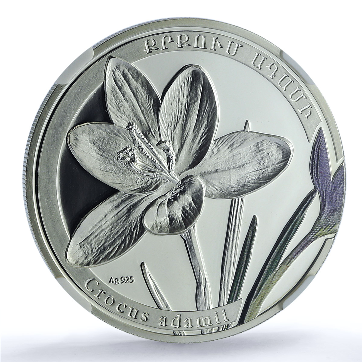 Armenia 1000 dram Crocus KM-202 Flora Flower PF 69 NGC silver coin 2011