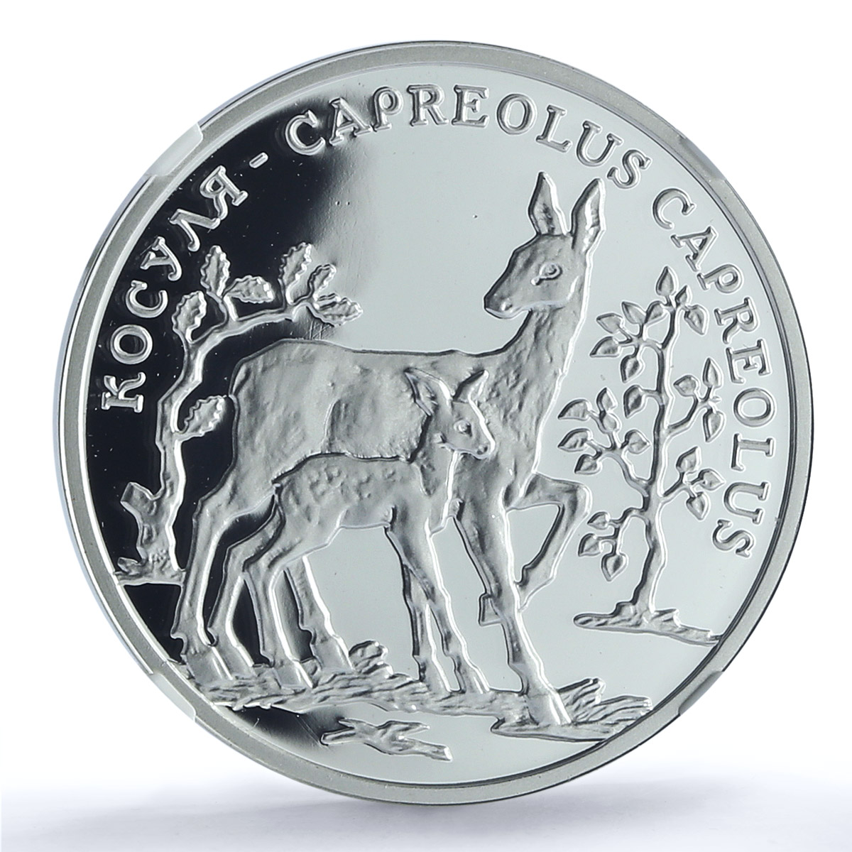 Transnistria 100 roubles Roe Deer KM-44 Wildlife Fauna PL70 NGC silver coin 2004