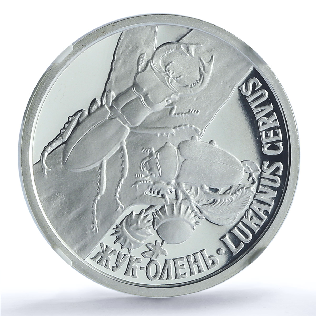 Transnistria 100 roubles Stag Beetle KM-78 Fauna PL 70 NGC silver coin 2006 Transnistria 100 roubles Stag Beetle KM-78 Fauna PL 70 NGC silver coin 2006
