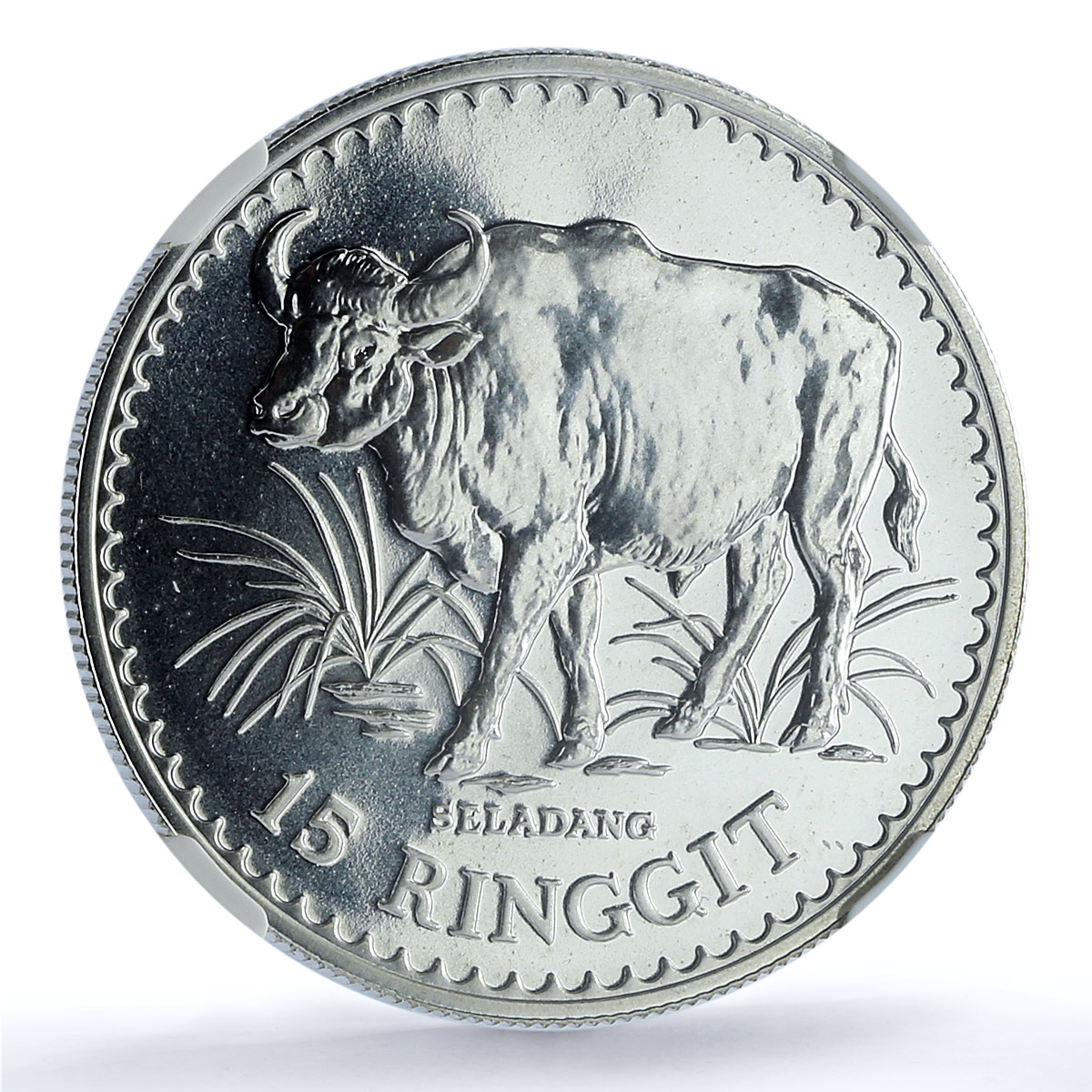 Malaysia 15 ringgit Gaur KM-19 Conservation Fauna Bull MS69 NGC silver coin 1976 Malaysia 15 ringgit Gaur KM-19 Conservation Fauna Bull MS69 NGC silver coin 1976