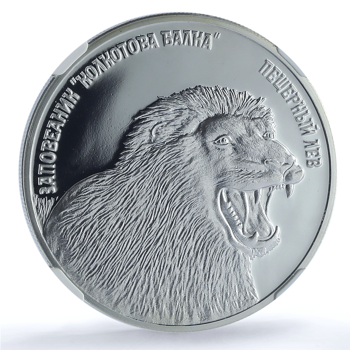 Transnistria 5 roubles Cave Lion KM-156 Colcot Fauna PL 69 NGC silver coin 2008