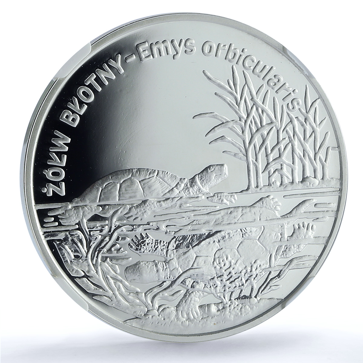 Poland 20 zlotych Pond Turtle Y#428 Wildlife Fauna PF 69 NGC silver coin 2002