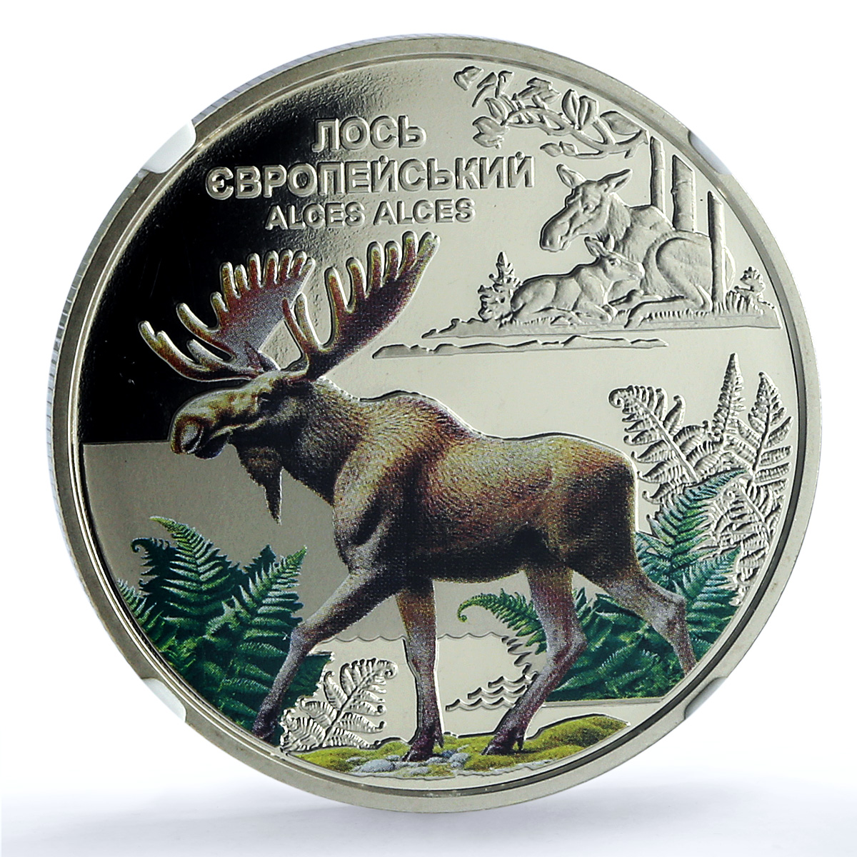 Ukraine 5 hryvnias Elk KM-1143 Chernobyl Fauna MS 70 NGC NiBrass coin 2025