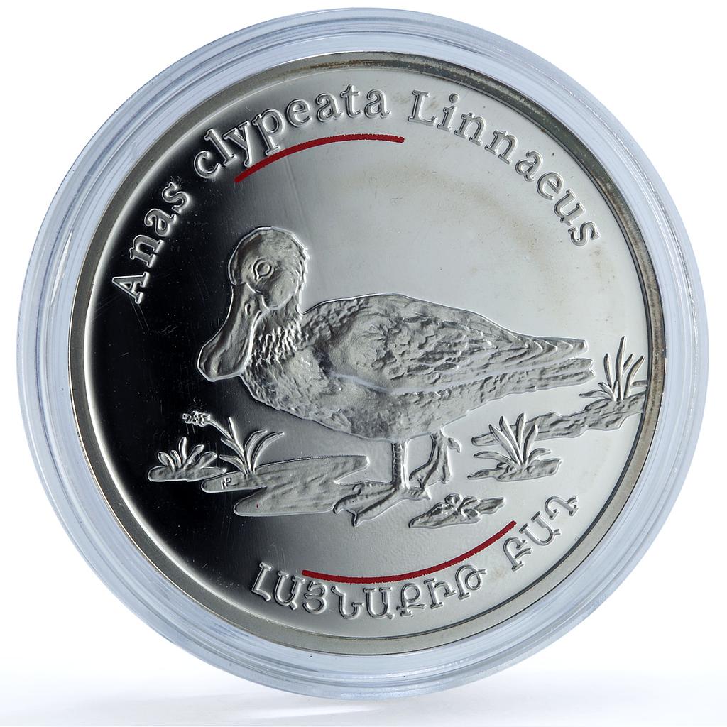 Armenia 100 dram Shoveler Duck KM-136 Wildlife Fauna Bird proof silver coin 2007