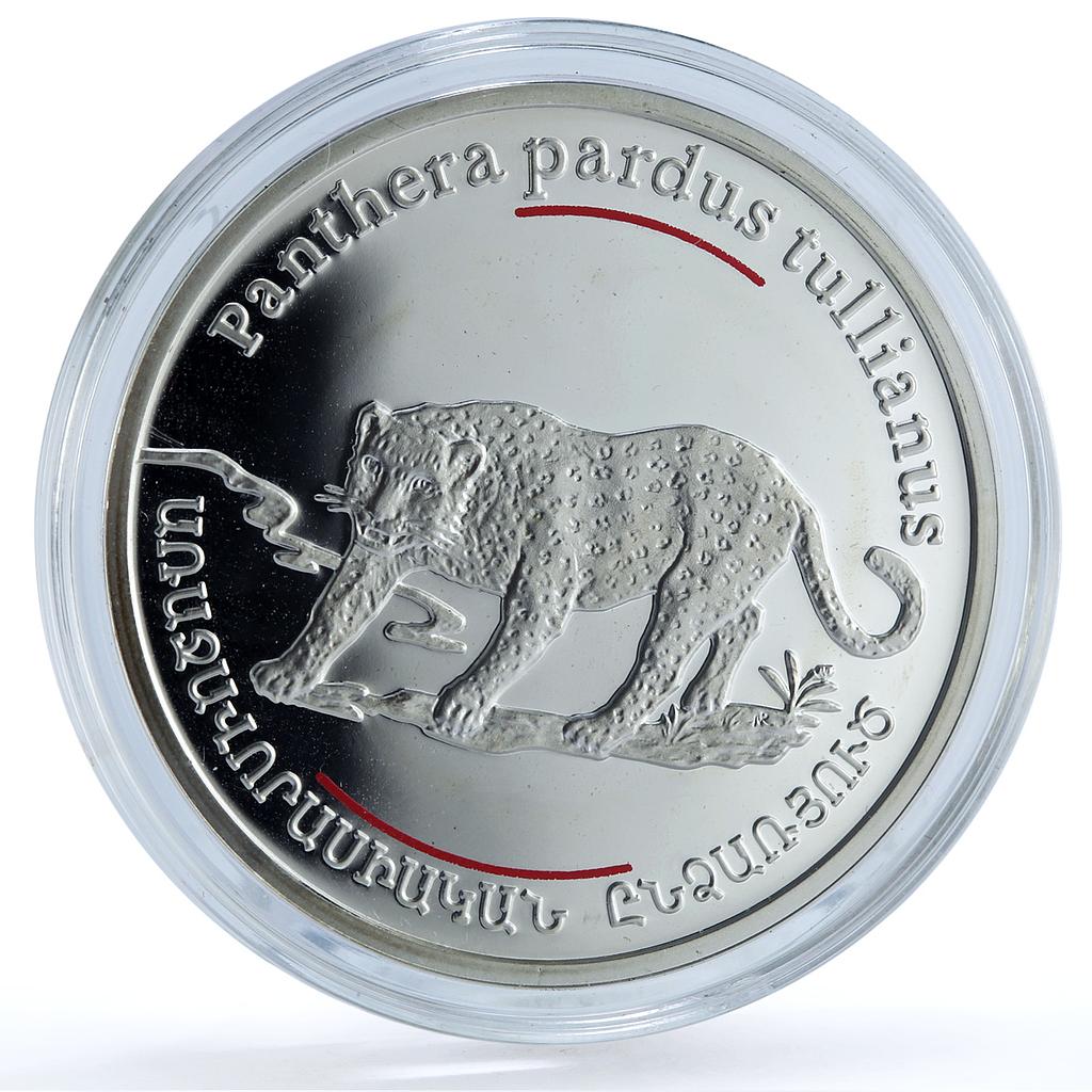 Armenia 100 dram Leopard KM-135 Wildlife Fauna Cat proof silver coin 2007