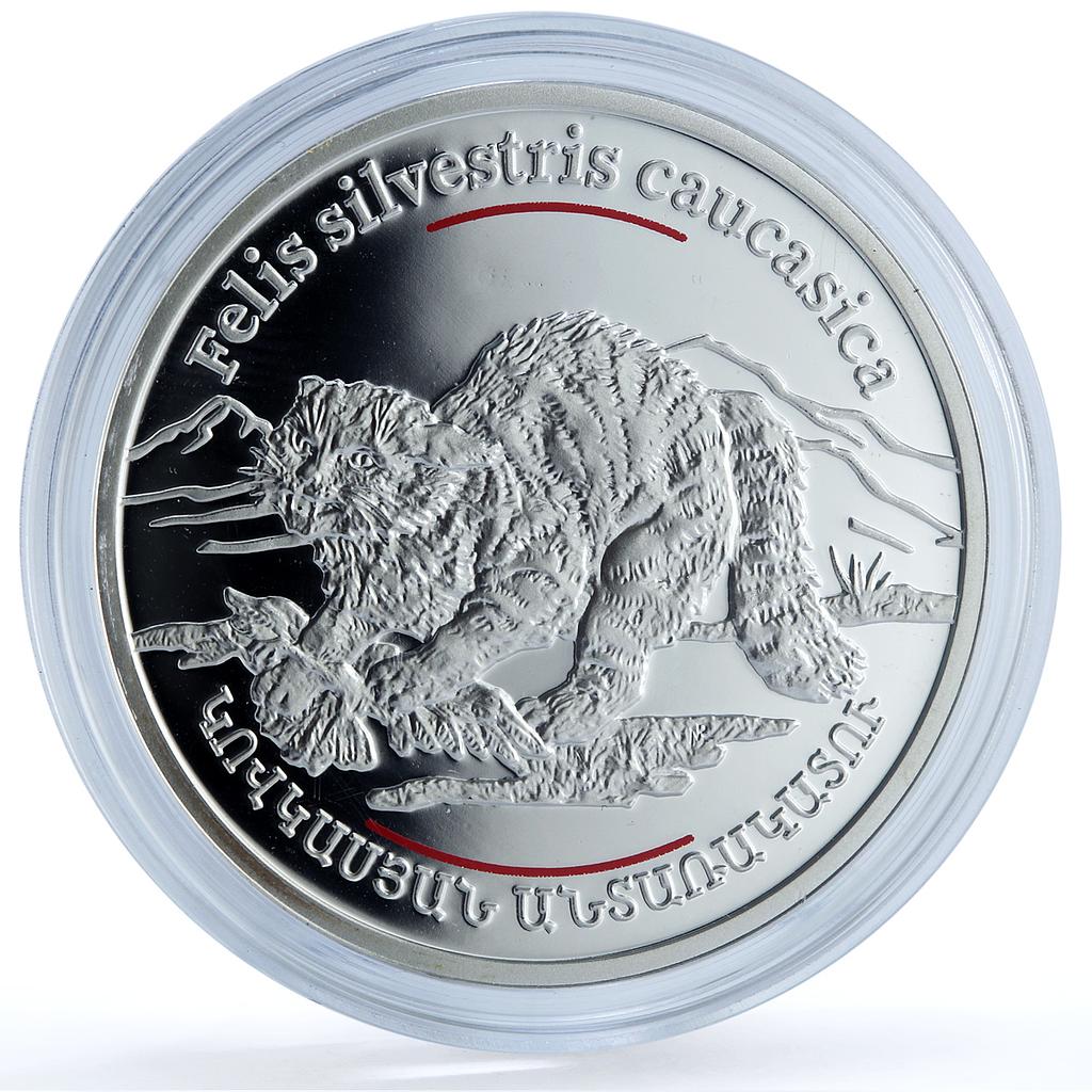 Armenia 100 dram Wildcat KM-121 Wildlife Fauna Cat proof silver coin 2006