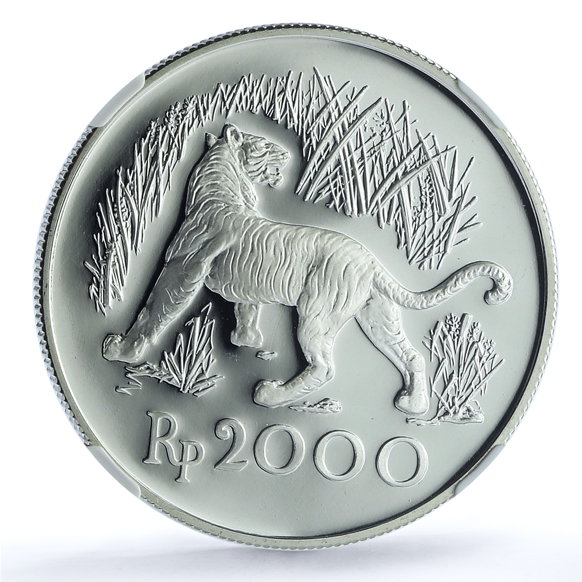 Indonesia 2000 rupiah Javan Tiger KM-39a Fauna Cat PF 69 NGC silver coin 1974 Indonesia 2000 rupiah Javan Tiger KM-39a Fauna Cat PF 69 NGC silver coin 1974