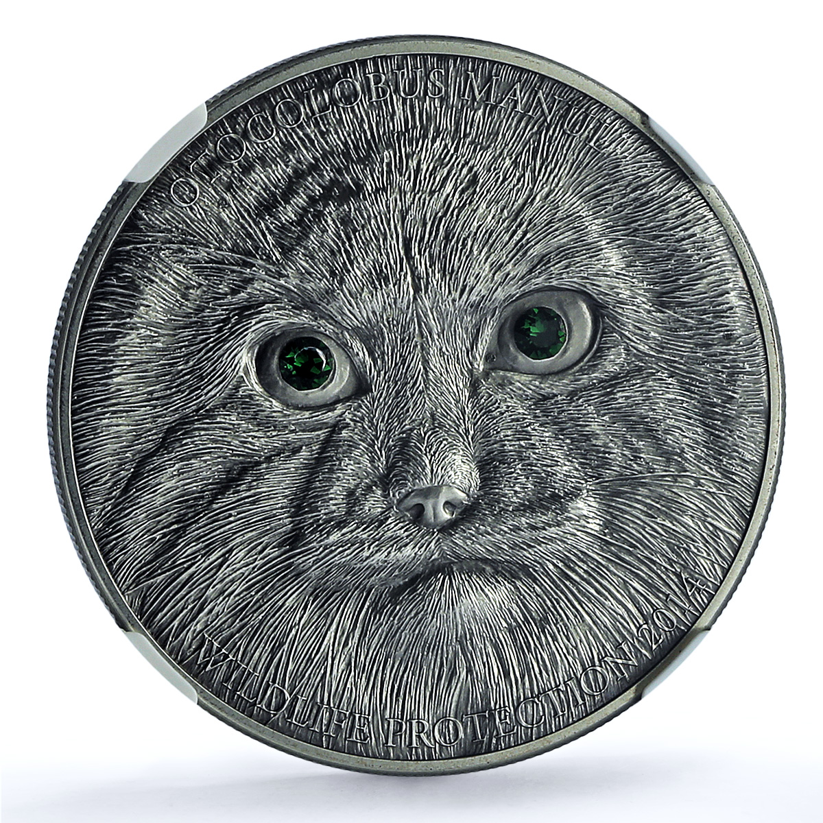 Mongolia 500 togrog Manul KM-337 Wildlife Fauna Cat MS 70 NGC silver coin 2014