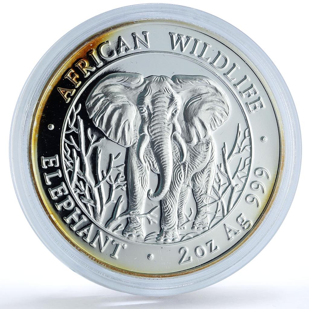 Somalia 2000 shillings Elephant African Wildlife 2 oz proof silver coin 2004