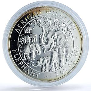 Somalia 200 shillings Elephant KM-207 African Wildlife 2 oz silver coin 2008