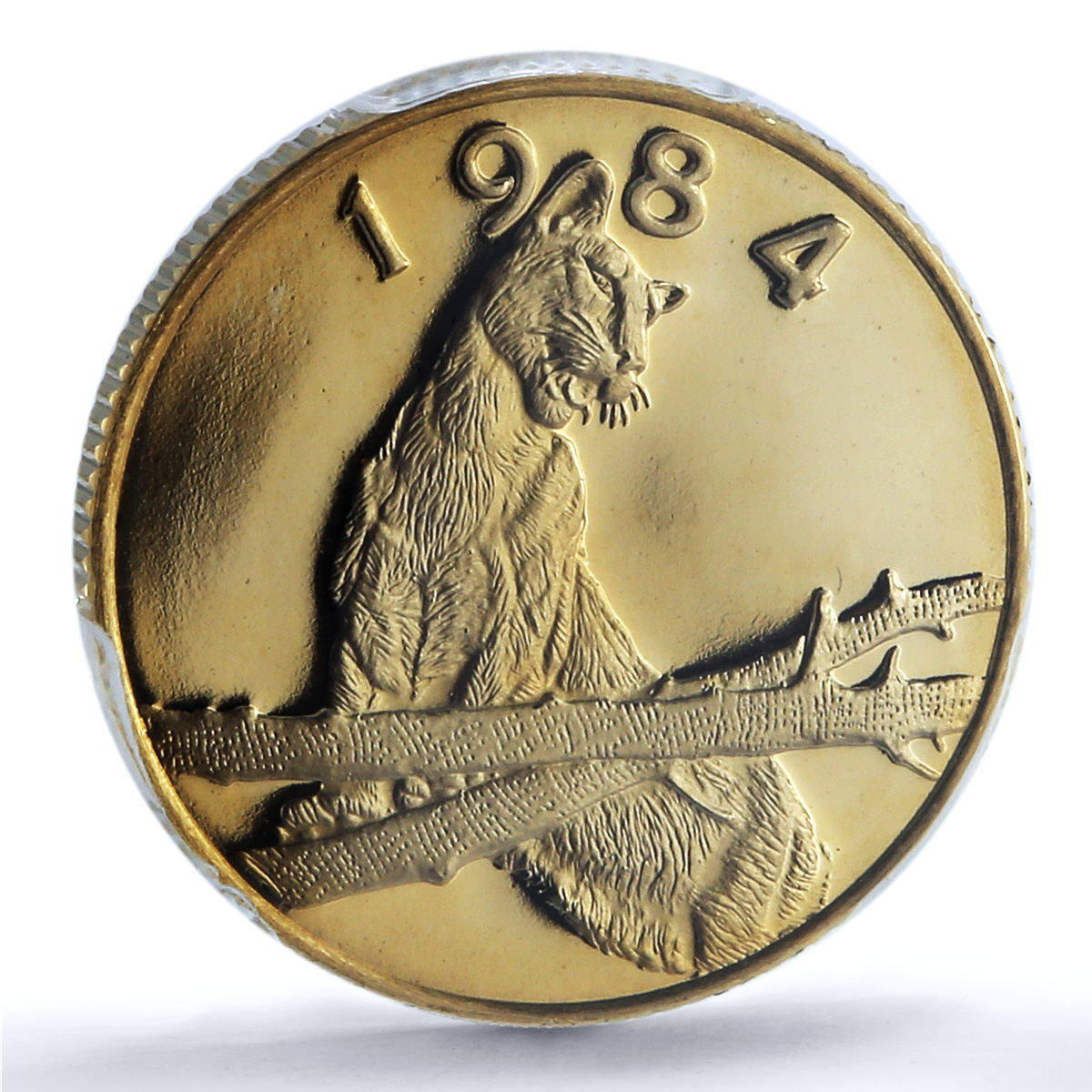 Panama 20 balboas Conservation Wildlife Puma Cat Fauna PR69 PCGS gold coin 1984 Panama 20 balboas Conservation Wildlife Puma Cat Fauna PR69 PCGS gold coin 1984
