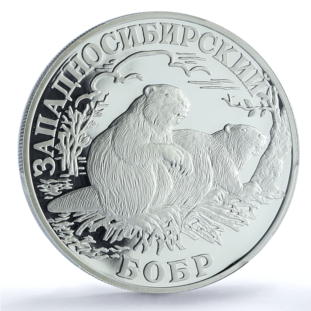 Russia 1 rouble Conservation Red Book Siberian Beaver PR69 PCGS silver coin 2001 Russia 1 rouble Conservation Red Book Siberian Beaver PR69 PCGS silver coin 2001