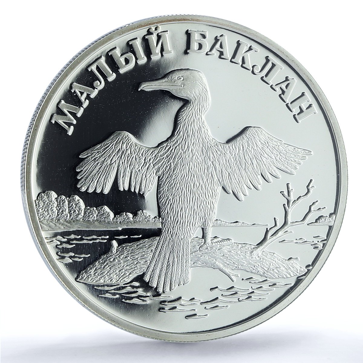 Russia 1 rouble Conservation Red Book Cormorant Bird PR69 PCGS silver coin 2003 Russia 1 rouble Conservation Red Book Cormorant Bird PR69 PCGS silver coin 2003