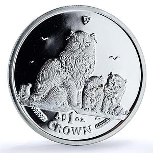 Isle of Man 1 crown Himalayan Kittens KM-1266a Cat Crowns proof silver coin 2005
