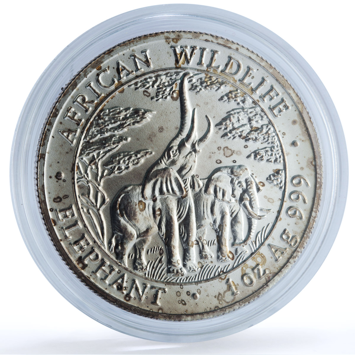 Zambia 5000 kwacha Elephant Matte KM-165 African Wildlife Fauna silver coin 2003