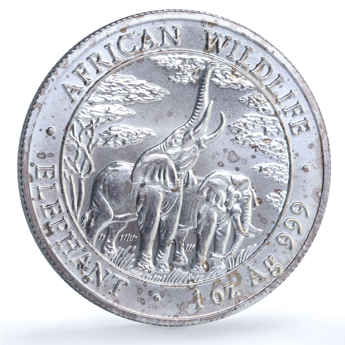 Zambia 5000 kwacha Elephant Matte KM-165 African Wildlife Fauna silver coin 2003