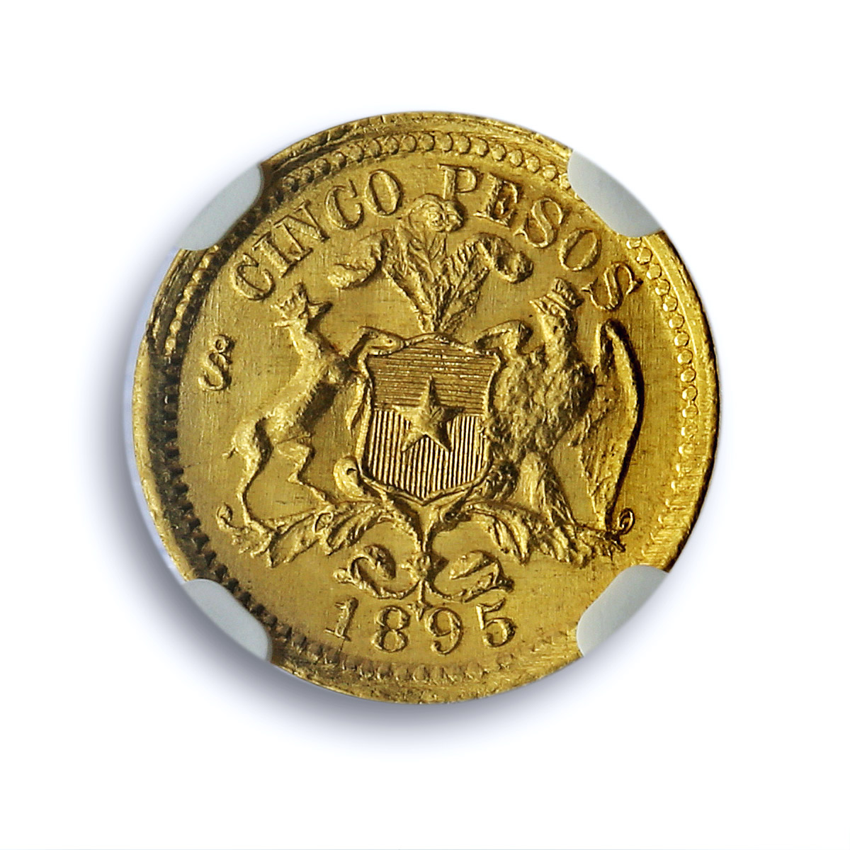 Chile 5 pesos Republic KM-153 MS 64 NGC gold coin 1895