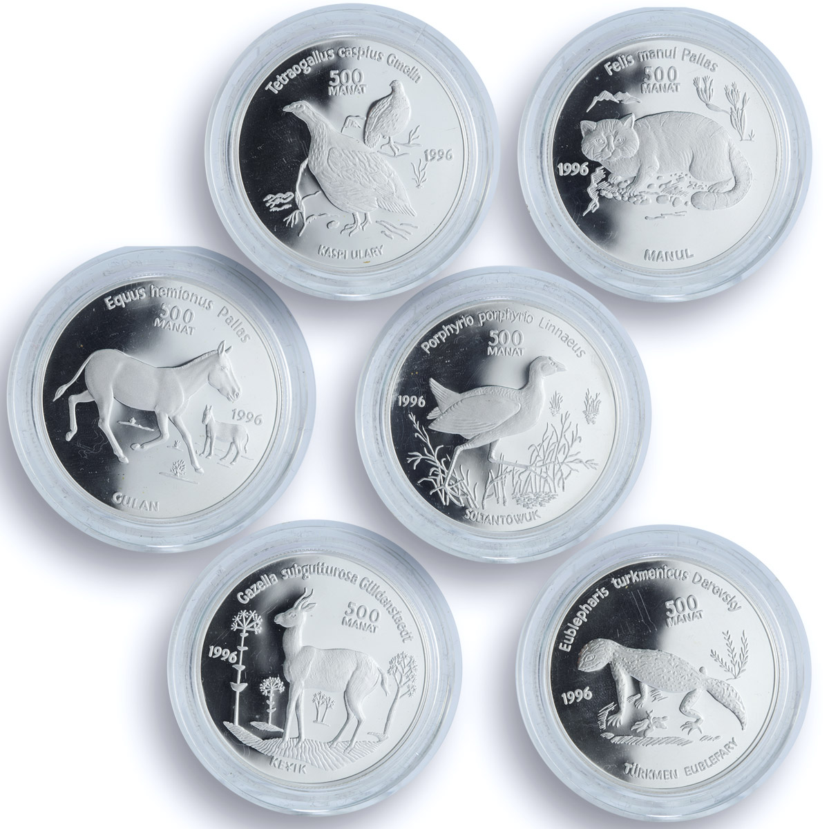 Turkmenistan 500 manat x 6 Set Red Book Animals Wildlife Fauna silver coins 1996
