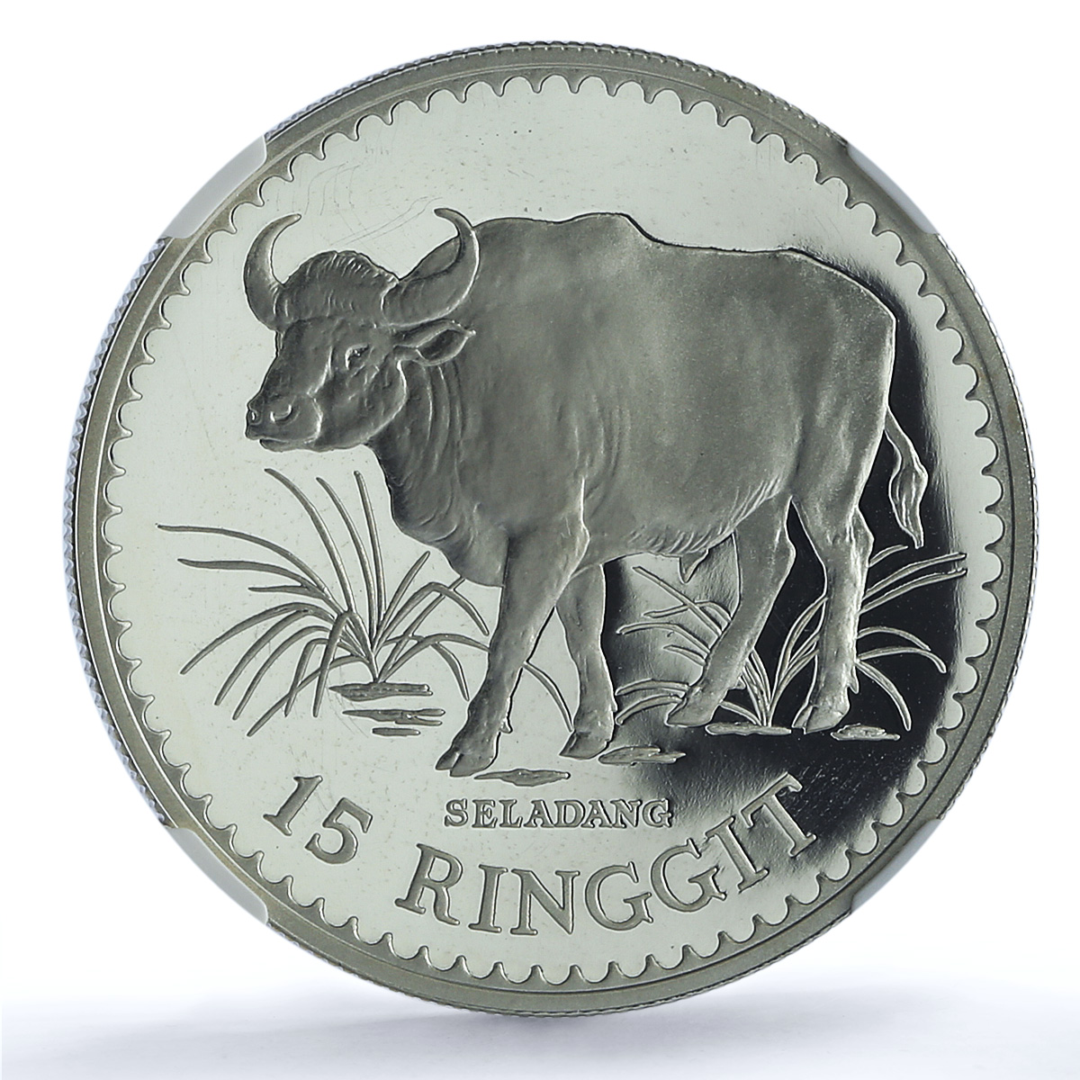 Malaysia 15 ringgit Gaur KM-19 Conservation Fauna Bull PF69 NGC silver coin 1976