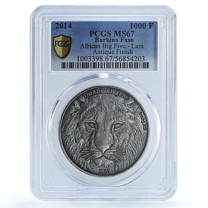 Burkina Faso 1000 francs Lion KM-25 African Fauna Cat MS67 PCGS silver coin 2014