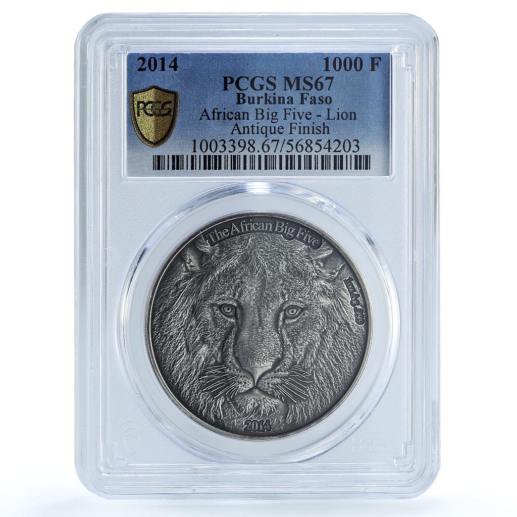 Burkina Faso 1000 francs Lion KM-25 African Fauna Cat MS67 PCGS silver coin 2014 Burkina Faso 1000 francs Lion KM-25 African Fauna Cat MS67 PCGS silver coin 2014