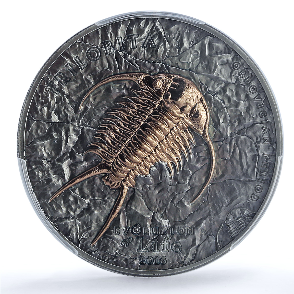 S 2016 500 Tug Trilobite S 2016 500 Tug Trilobite