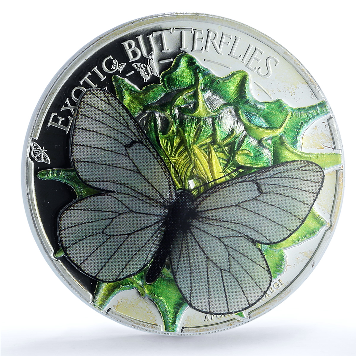 S 2017 500 Tug Exotic Butterflies, DCAM S 2017 500 Tug Exotic Butterflies, DCAM