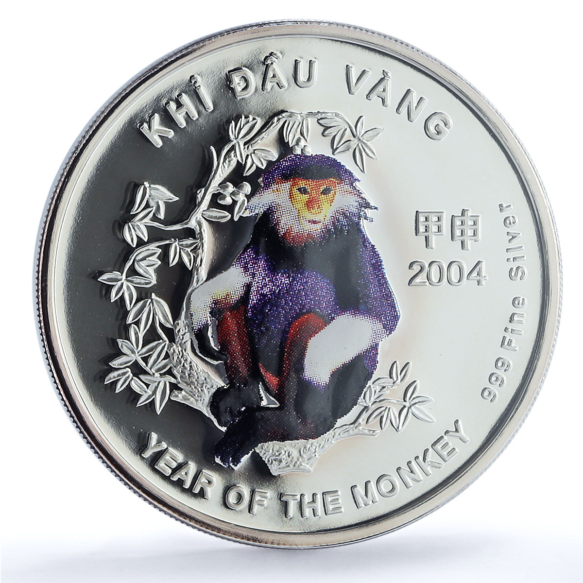 S 2004 10000 D Year of the Monkey Colorized Ag, DCAM S 2004 10000 D Year of the Monkey Colorized Ag, DCAM