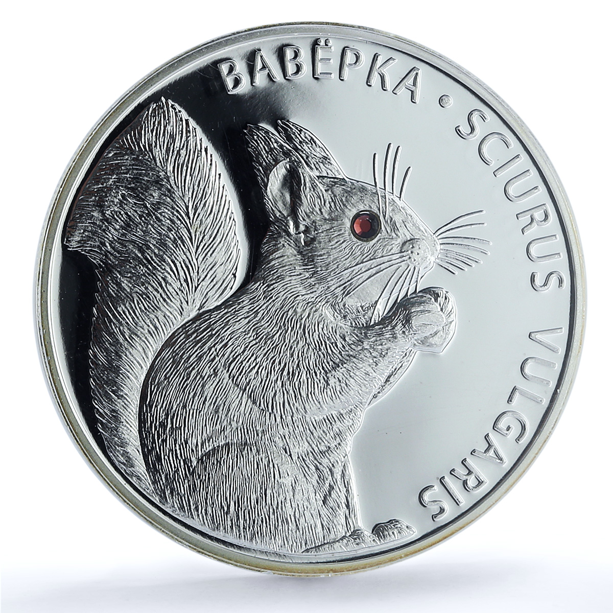 S 2009 20 Rbl One Squirrel, DCAM S 2009 20 Rbl One Squirrel, DCAM