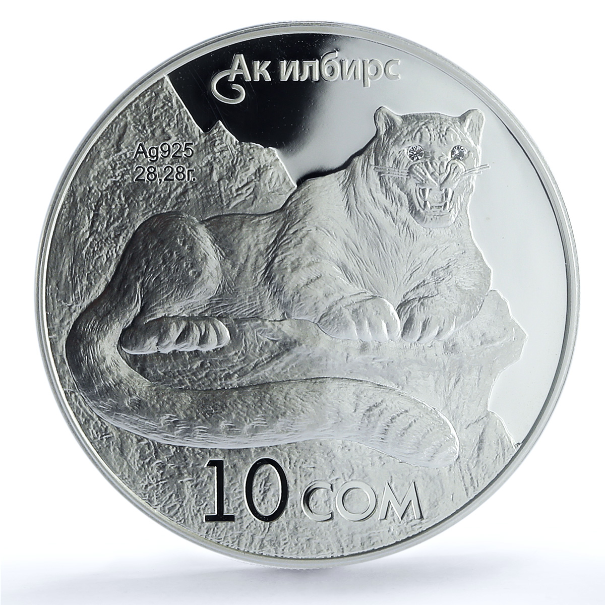 S 2012 10 Som Snow Leopard, DCAM S 2012 10 Som Snow Leopard, DCAM