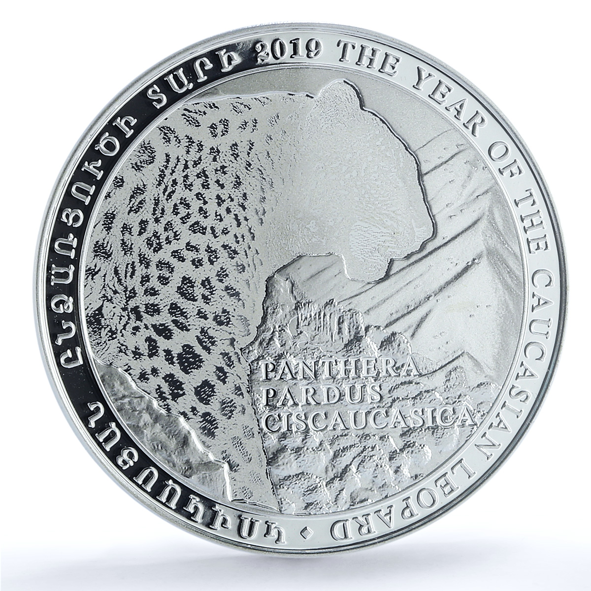 Armenia 1000 dram Caucasian Leopard Fauna Cat PR 70 PCGS silver coin 2019 Armenia 1000 dram Caucasian Leopard Fauna Cat PR 70 PCGS silver coin 2019