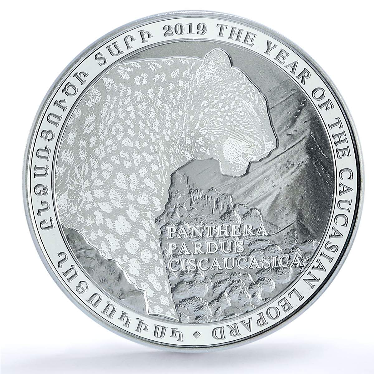 Armenia 1000 dram Caucasian Leopard Fauna Cat PR 70 PCGS silver coin 2019 Armenia 1000 dram Caucasian Leopard Fauna Cat PR 70 PCGS silver coin 2019
