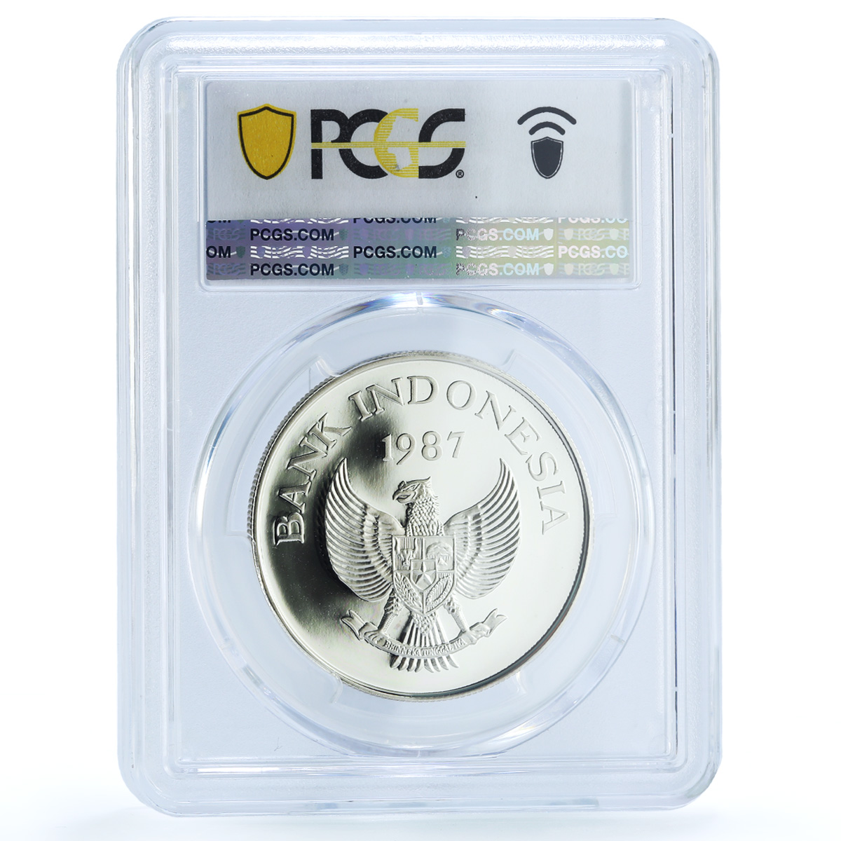 S 1987 10000 R Babi Rusa KM-45 Ag, DCAM S 1987 10000 R Babi Rusa KM-45 Ag, DCAM