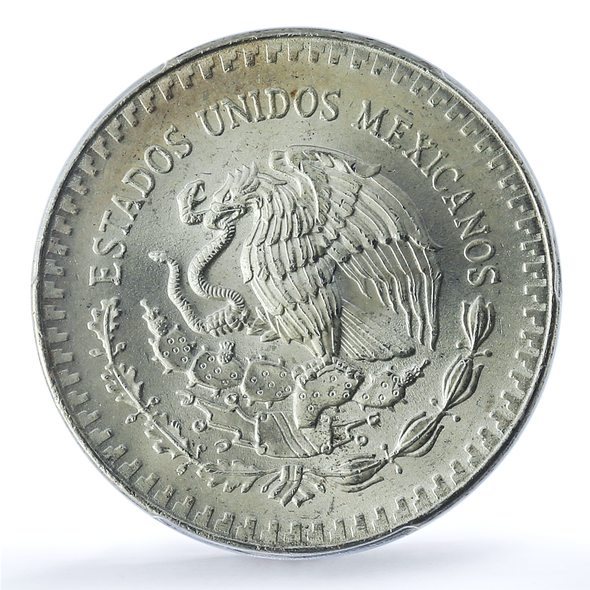 Mexico 1 onza Libertad Angel of Independence KM-494.1 MS66 PCGS silver coin 1988 Mexico 1 onza Libertad Angel of Independence KM-494.1 MS66 PCGS silver coin 1988