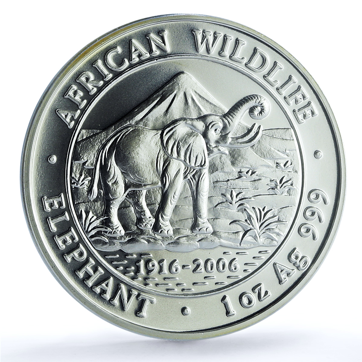 Somalia 1000 shillings Elephant KM-195 Wildlife MS 70 PCGS silver coin 2006 Somalia 1000 shillings Elephant KM-195 Wildlife MS 70 PCGS silver coin 2006
