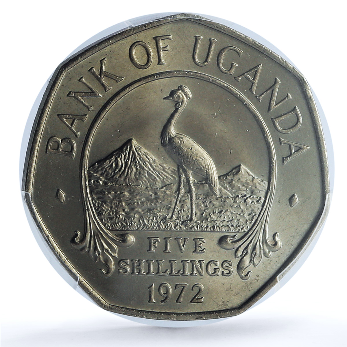 Uganda 5 shillings Republic KM-18 Crane Bird MS 64 PCGS CuNi coin 1972 Uganda 5 shillings Republic KM-18 Crane Bird MS 64 PCGS CuNi coin 1972