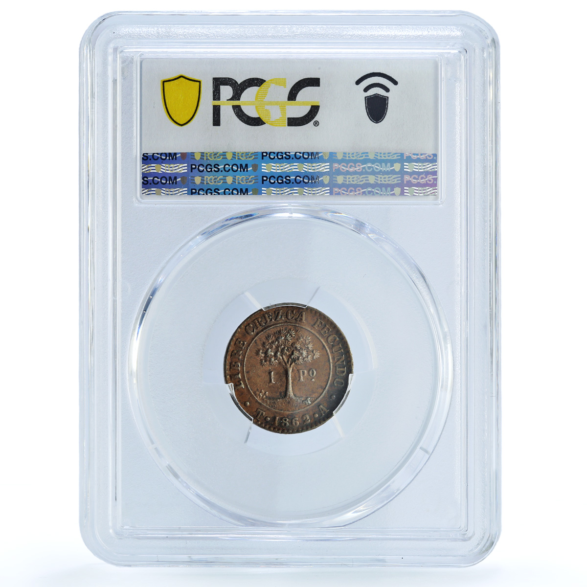 Honduras 1 peso Provisional Coinage Tree KM-24 AU58 PCGS copper coin 1862