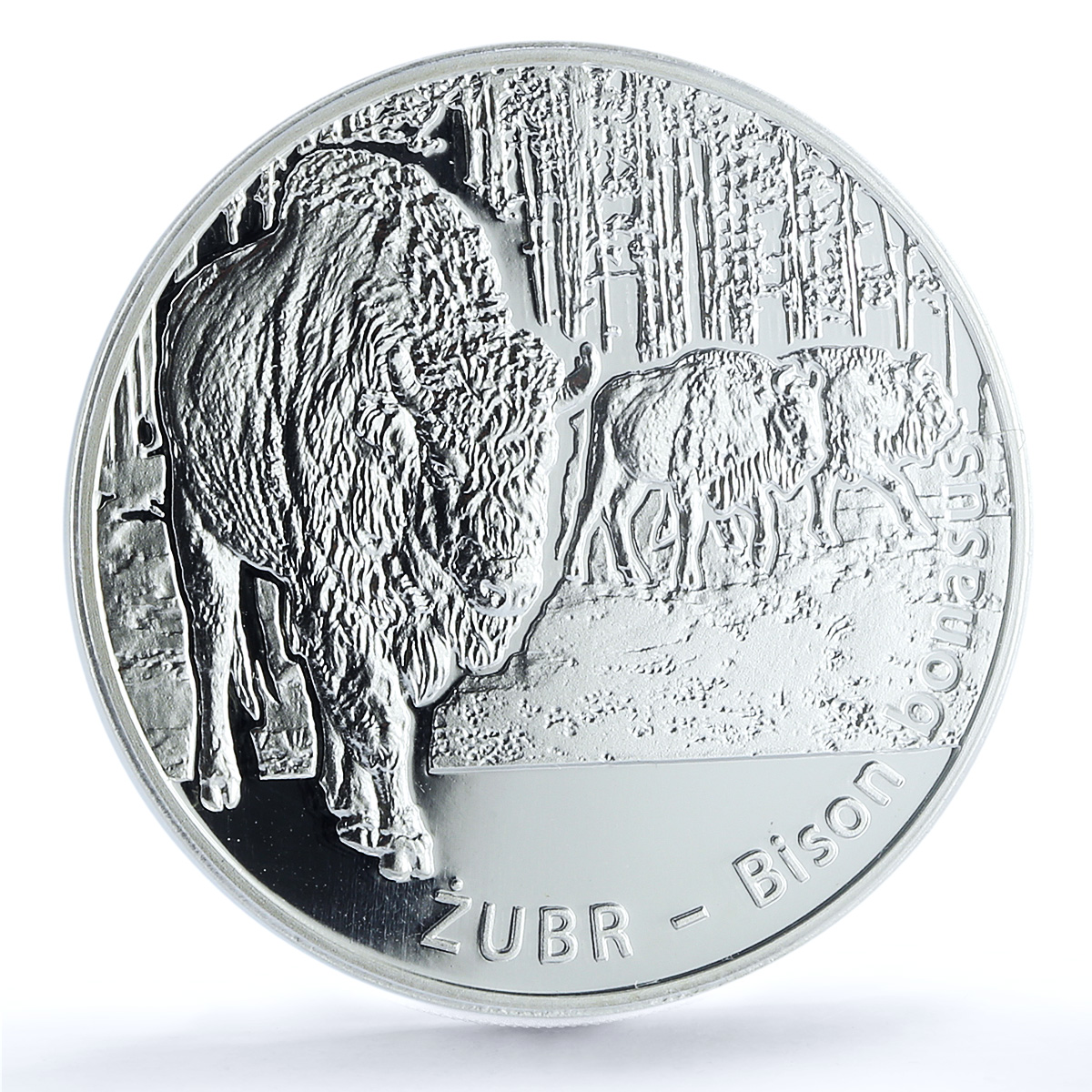 Poland 20 zlotych Zubr Bison Bull Animals Fauna PR69 PCGS silver coin 2013 Poland 20 zlotych Zubr Bison Bull Animals Fauna PR69 PCGS silver coin 2013