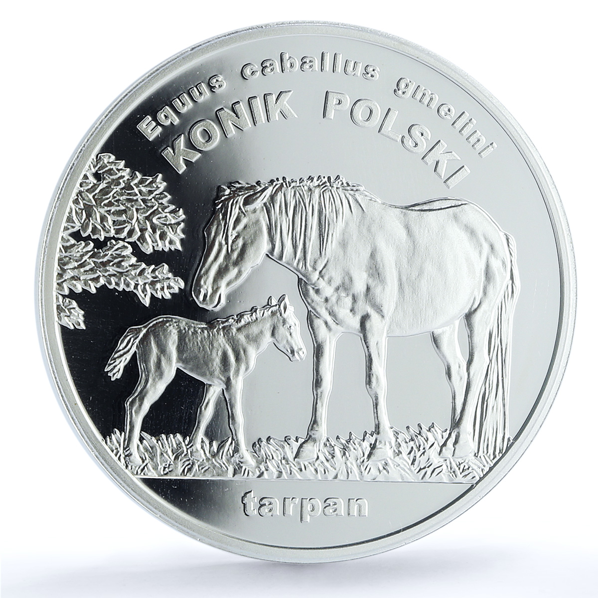Poland 20 zlotych Konik Horse Animals Wildlife Fauna PR69 PCGS silver coin 2014 Poland 20 zlotych Konik Horse Animals Wildlife Fauna PR69 PCGS silver coin 2014