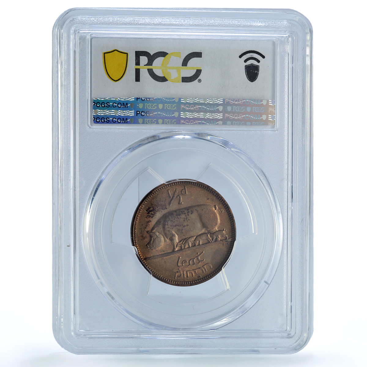 Ireland 1/2 penny phingin Free State Coinage Pig PR64 PCGS bronze coin 1928 Ireland 1/2 penny phingin Free State Coinage Pig PR64 PCGS bronze coin 1928