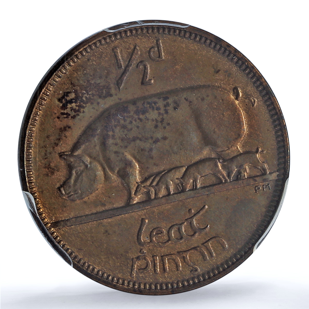 Ireland 1/2 penny phingin Free State Coinage Pig PR64 PCGS bronze coin 1928 Ireland 1/2 penny phingin Free State Coinage Pig PR64 PCGS bronze coin 1928