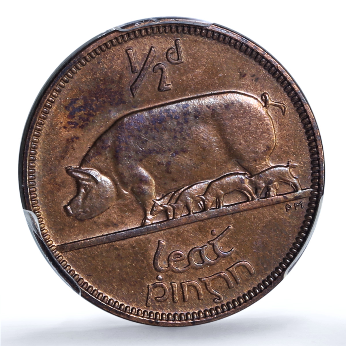 Ireland 1/2 penny phingin Free State Coinage Pig PR64 PCGS bronze coin 1928 Ireland 1/2 penny phingin Free State Coinage Pig PR64 PCGS bronze coin 1928