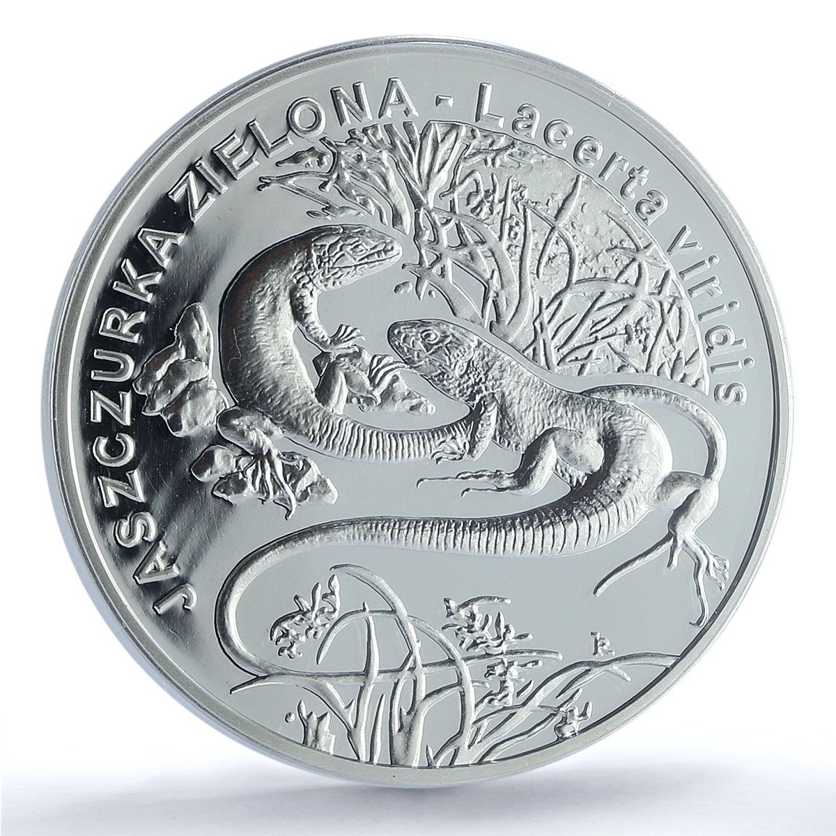 Poland 20 zlotych Jaszczurka Lizards Animals Fauna PR70 PCGS silver coin 2009 Poland 20 zlotych Jaszczurka Lizards Animals Fauna PR70 PCGS silver coin 2009